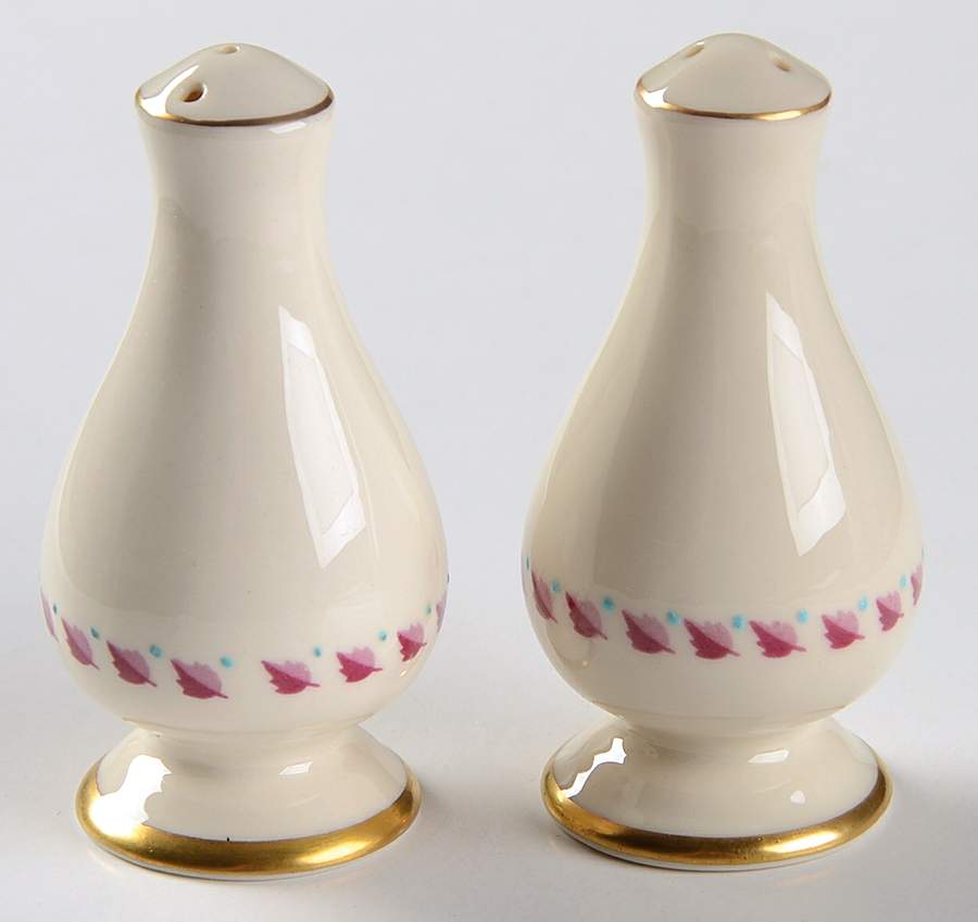 Arden Salt & Pepper Set by Franciscan-1