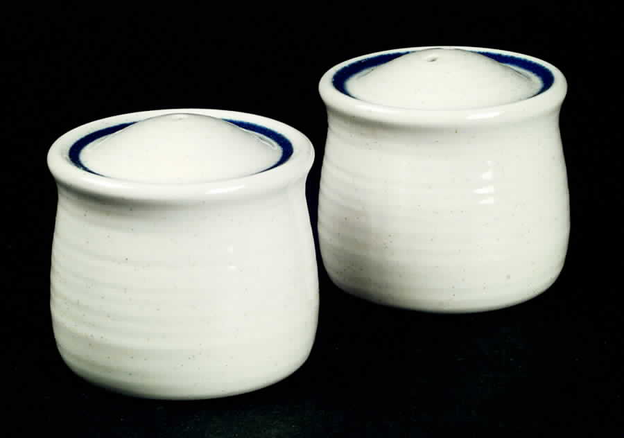 Blueberry Salt & Pepper Set by Franciscan-1