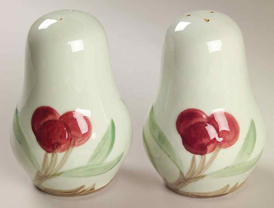 Bountiful Salt & Pepper Set by Franciscan-1