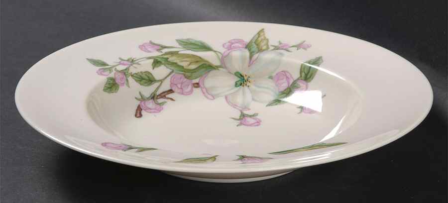 Chelan Rim Soup Bowl by Franciscan-1
