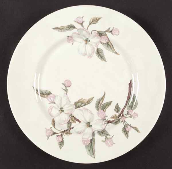 Chelan Dinner Plate by Franciscan-1