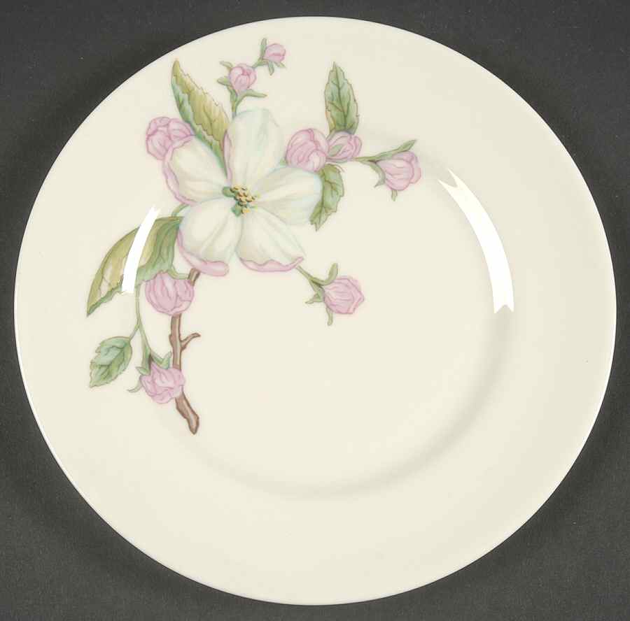 Chelan Bread & Butter Plate by Franciscan-1