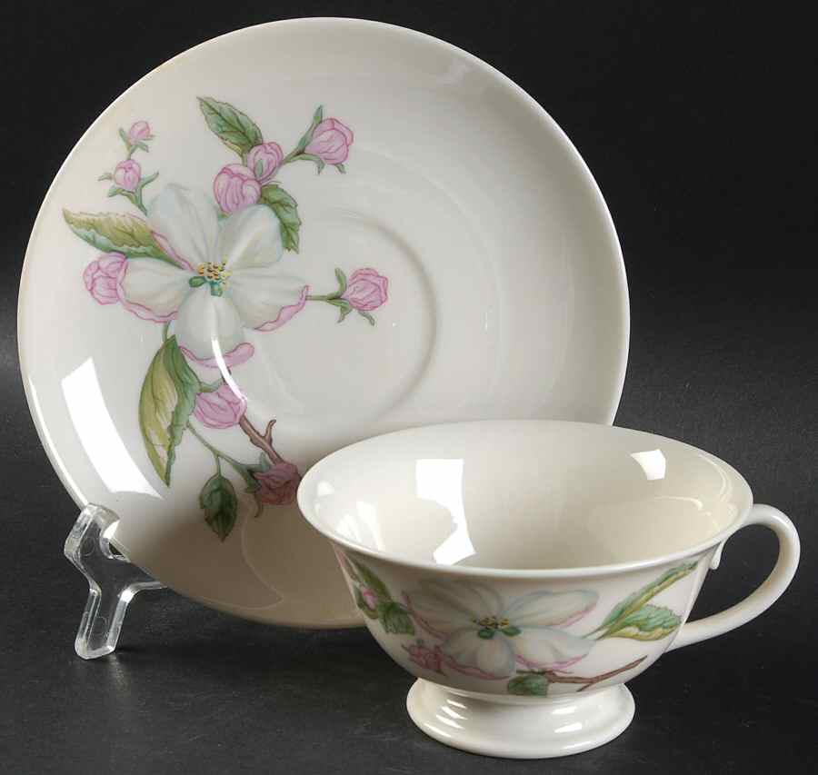 Chelan Footed Cup & Saucer Set by Franciscan-1