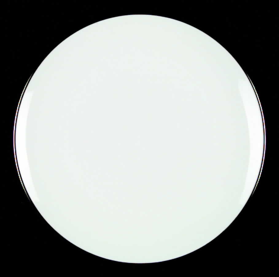 Cortina Dinner Plate by Franciscan-1
