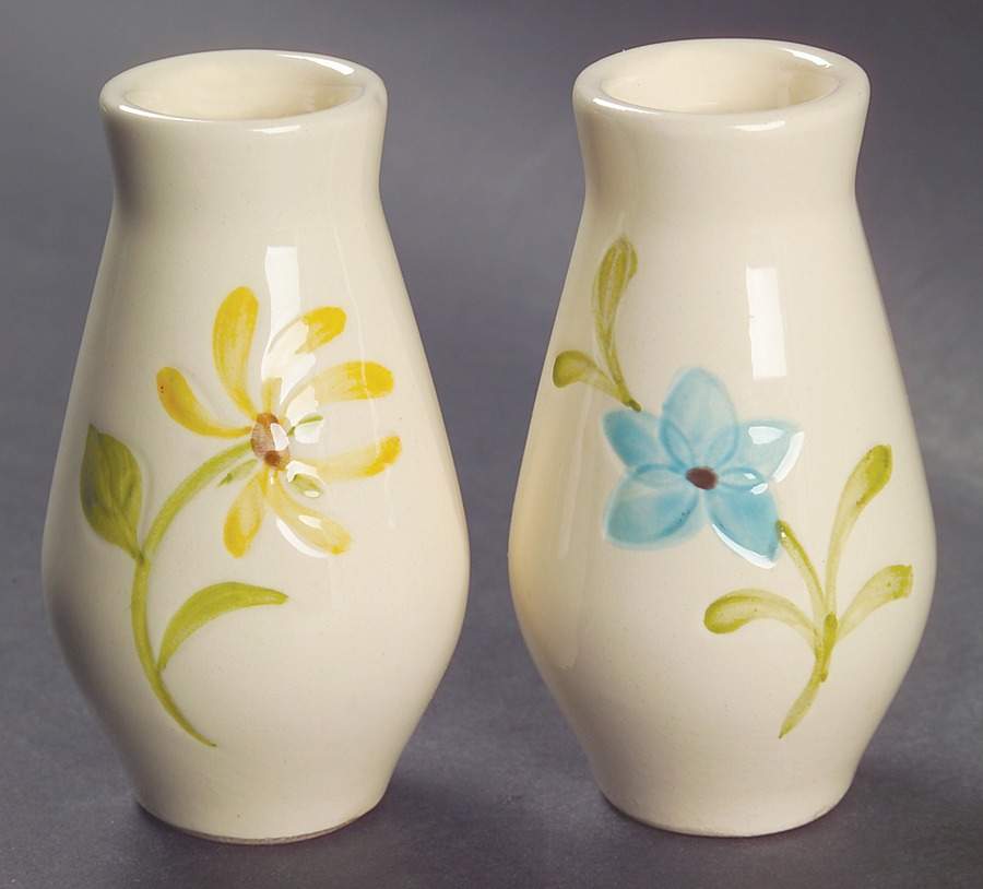 Daisy Salt & Pepper Set by Franciscan-1