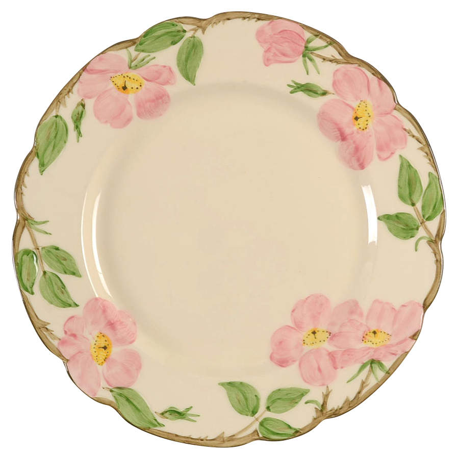 Desert Rose (USA Backstamp) Dinner Plate by Franciscan-1