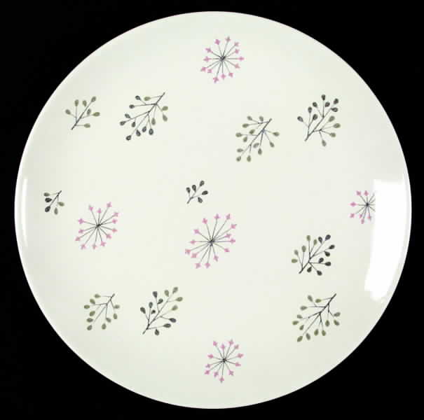 Echo Dinner Plate by Franciscan-1