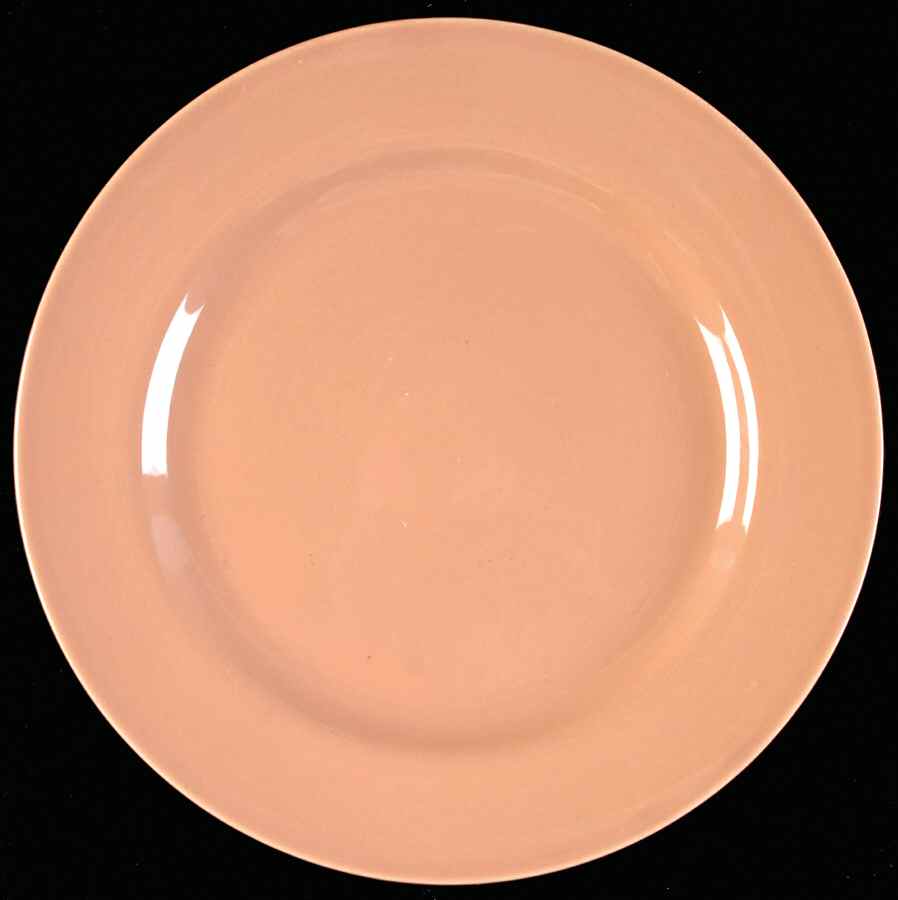 El Patio Coral (Glossy) Luncheon Plate by Franciscan-1