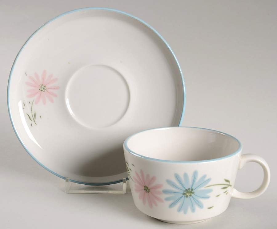 Maytime Flat Cup & Saucer Set by Franciscan-1