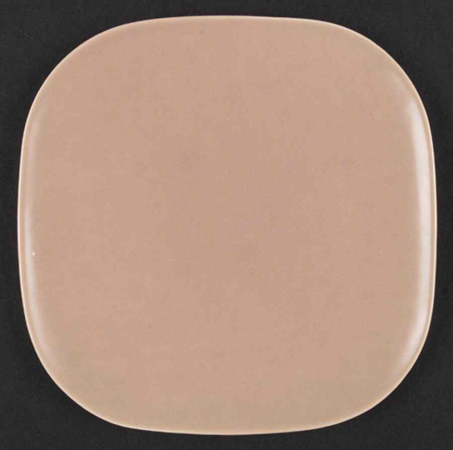 Metropolitan Coral Dinner Plate by Franciscan-1