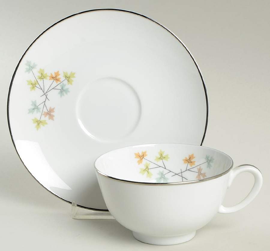 Nassau Footed Cup & Saucer Set by Franciscan-1