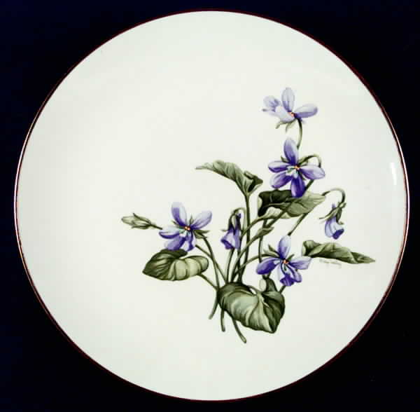 Olympic Dinner Plate by Franciscan-1