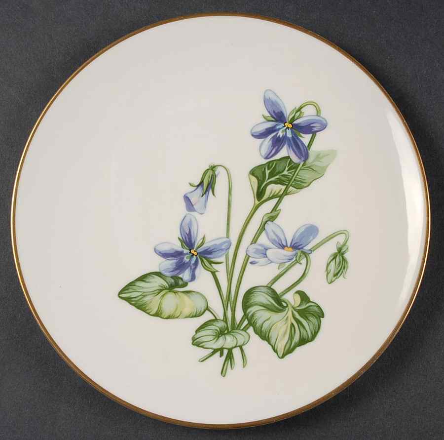Olympic Salad Plate by Franciscan-1