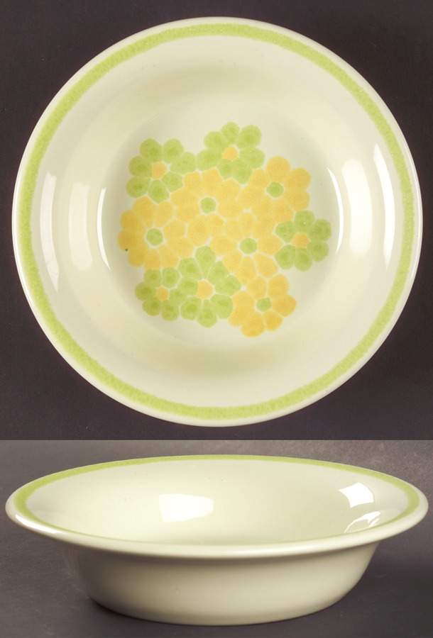Picnic Coupe Cereal Bowl by Franciscan-1