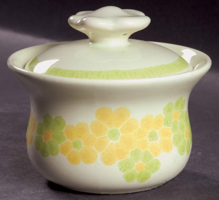 Picnic Sugar Bowl & Lid by Franciscan-1