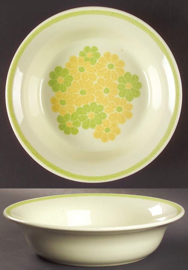 Picnic 9" Round Vegetable Bowl by Franciscan-1