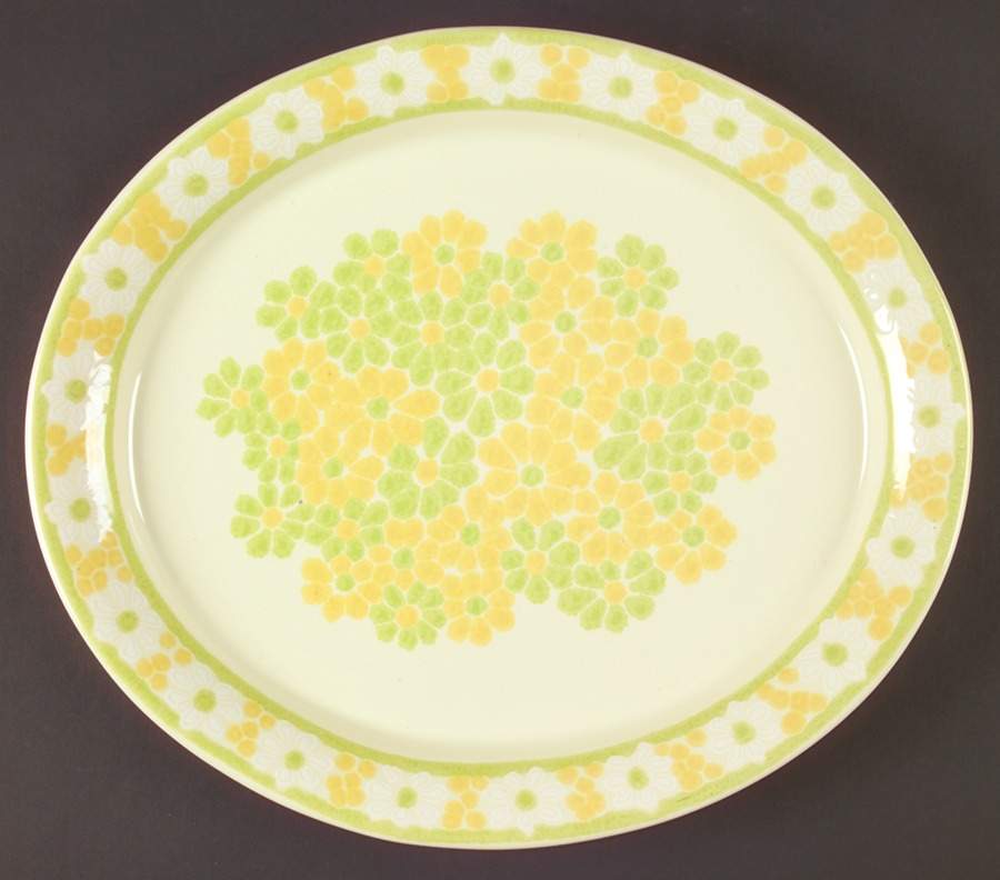 Picnic 14" Oval Serving Platter by Franciscan-1