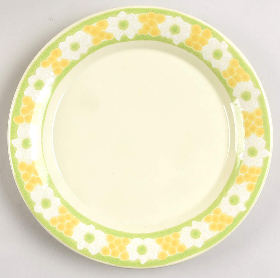 Picnic Salad Plate by Franciscan-1