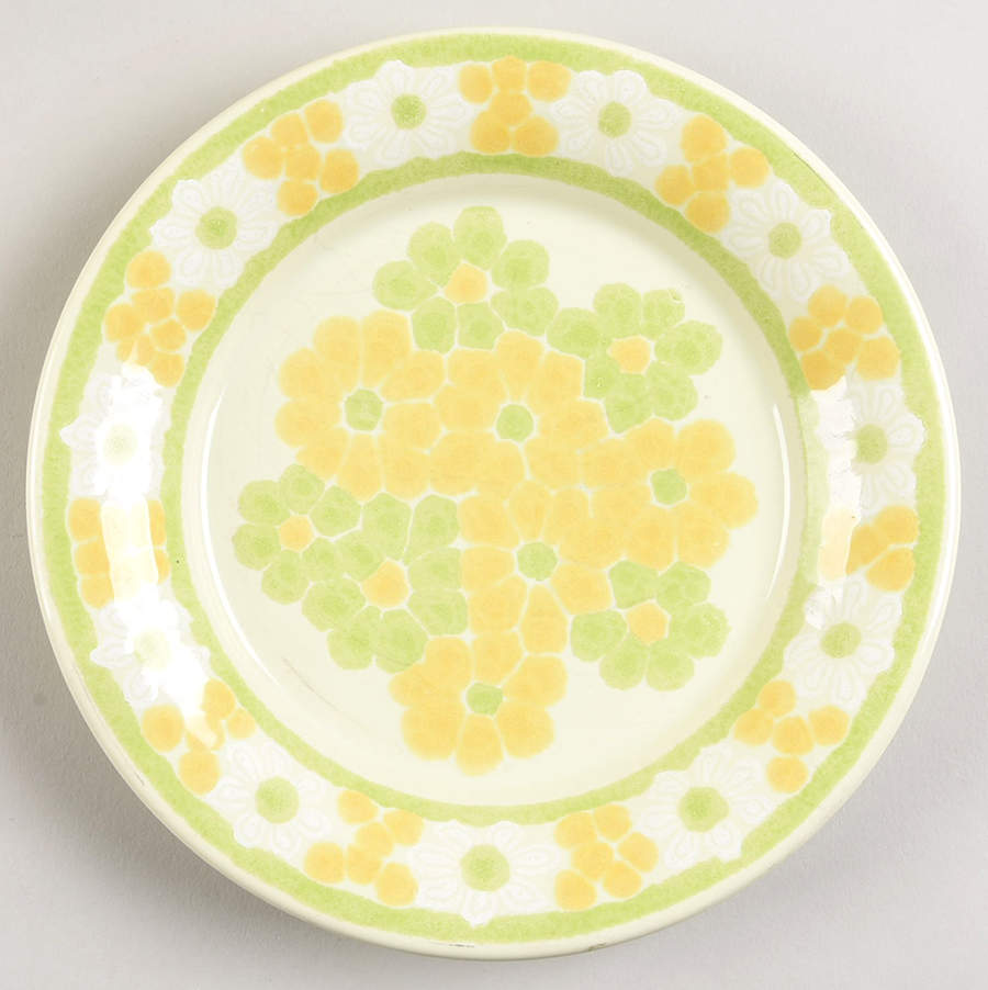 Picnic Bread & Butter Plate by Franciscan-1