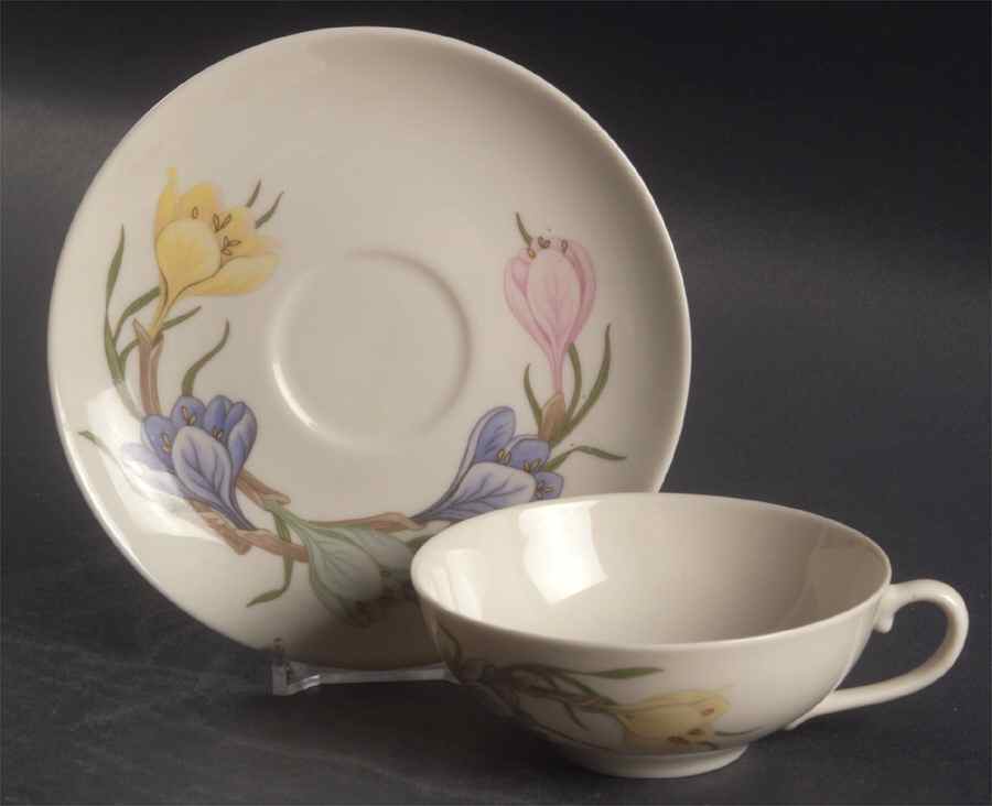 Sierra (Fine China) Flat Cup & Saucer Set by Franciscan-1