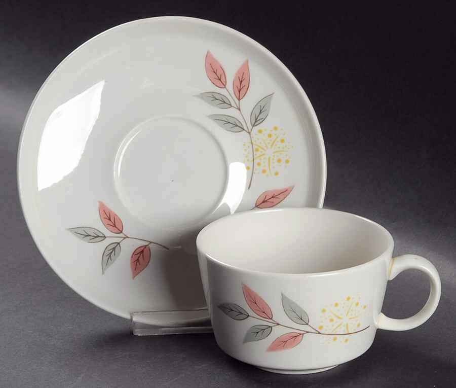 Springsong Flat Cup & Saucer Set by Franciscan-1