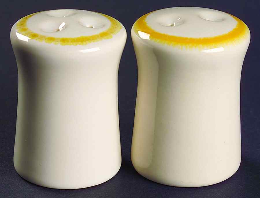 Sundance (USA) Salt & Pepper Set by Franciscan-1