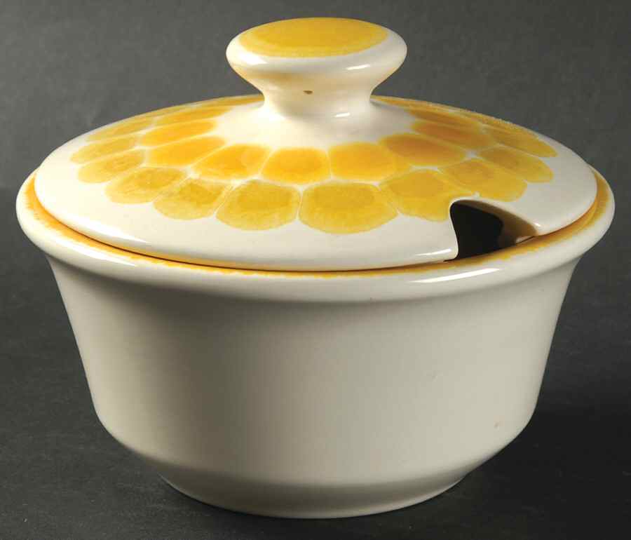 Sundance (USA) Round Gravy Boat & Lid by Franciscan-1