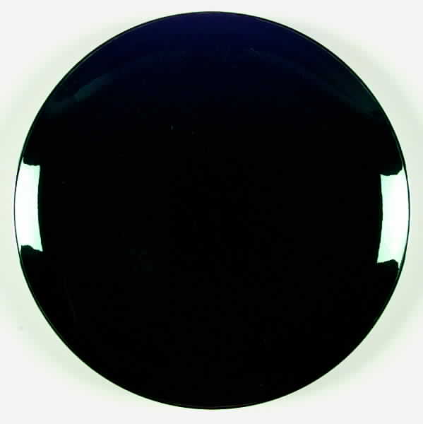 Teak (Platinum Trim) Dinner Plate by Franciscan-1