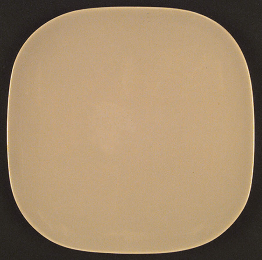 Tiempo Coral Tan (Pebble) Dinner Plate by Franciscan-1