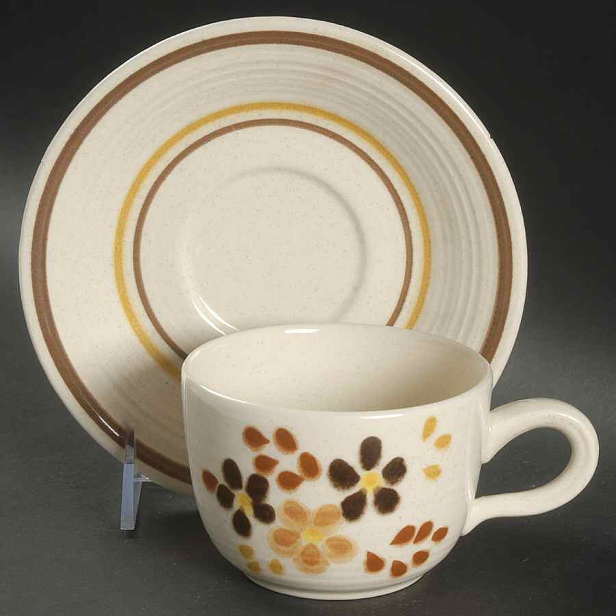 Toffee Flat Cup & Saucer Set by Franciscan-1