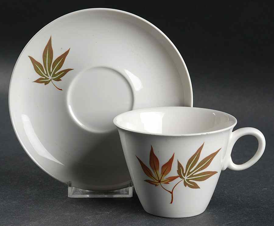 Twice Nice Flat Cup & Saucer Set by Franciscan-1