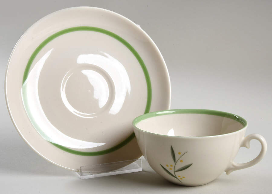 Westwood Flat Cup & Saucer Set by Franciscan-1