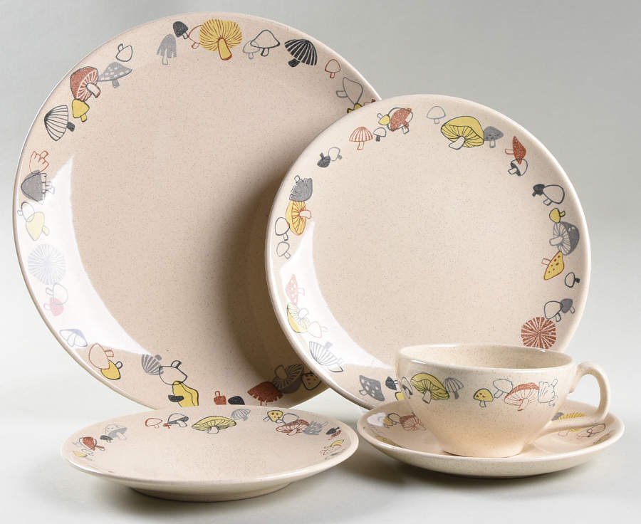 Woodlore 5 Piece Place Setting by Franciscan-1