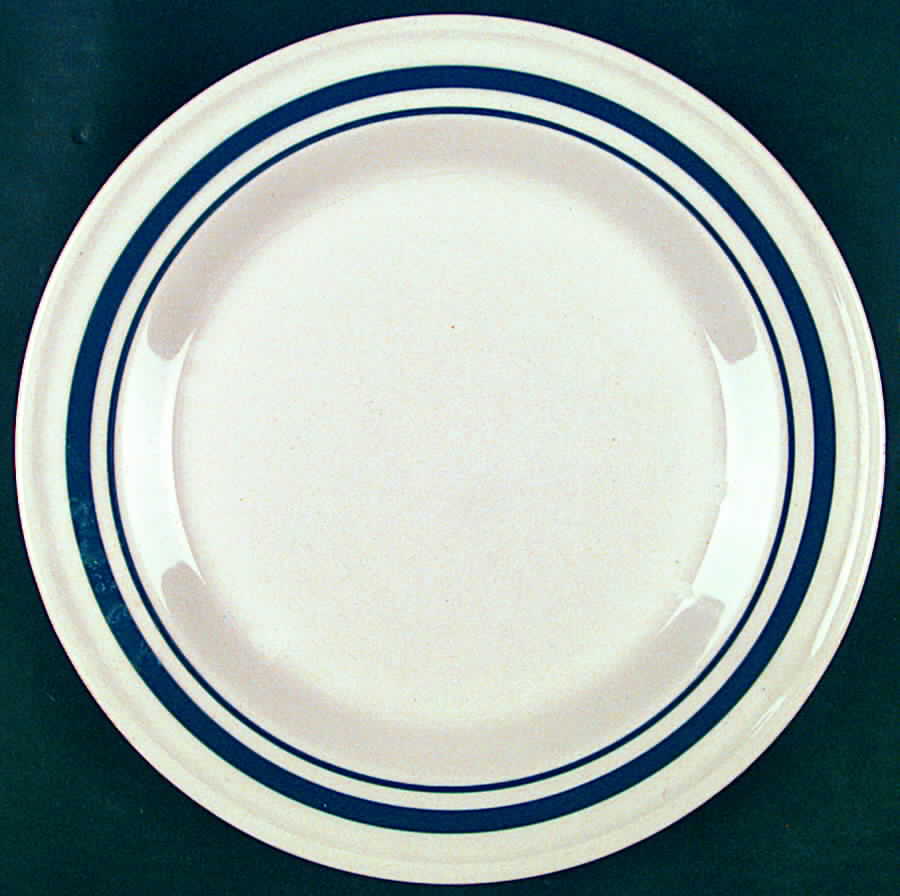 Blue Stripe Dinner Plate by Friendship-1