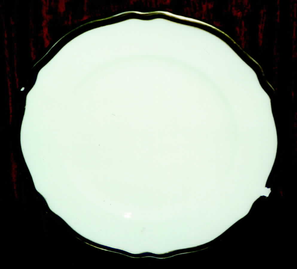 8285 Dinner Plate by Franconia-Krautheim & Adelburg-1