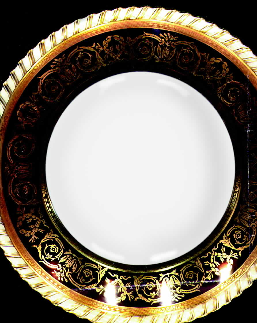 FR100 Dinner Plate by Franconia-Krautheim & Adelburg-1