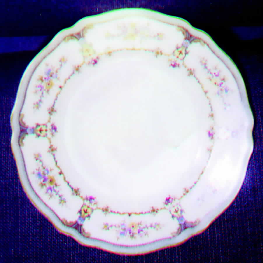 FR24 Dinner Plate by Franconia-Krautheim & Adelburg-1