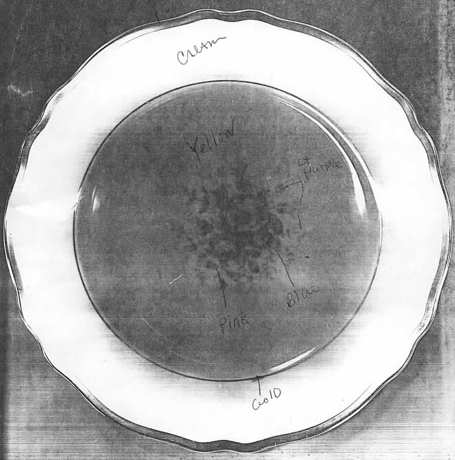 FR65 Dinner Plate by Franconia-Krautheim & Adelburg-1