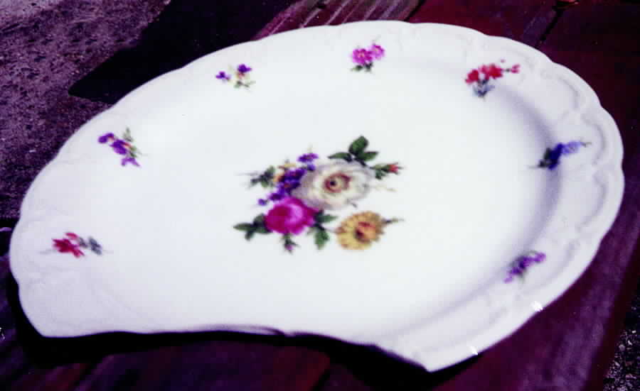 FR68 Dinner Plate by Franconia-Krautheim & Adelburg-1