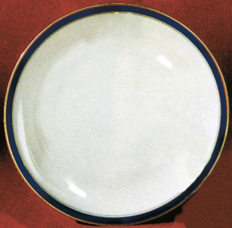FR69 Dinner Plate by Franconia-Krautheim & Adelburg-1