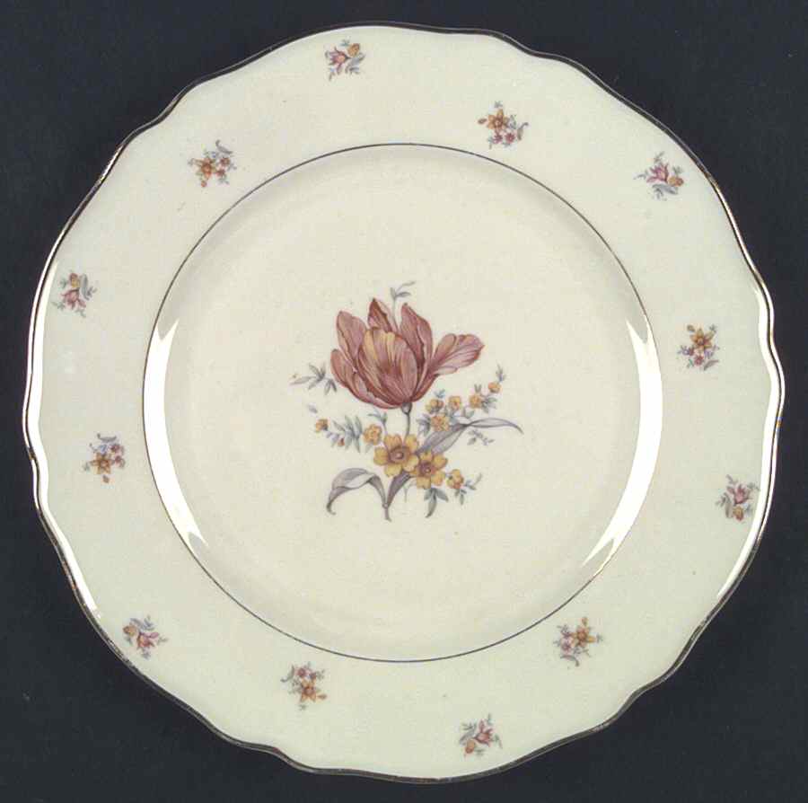 FR85 Dinner Plate by Franconia-Krautheim & Adelburg-1