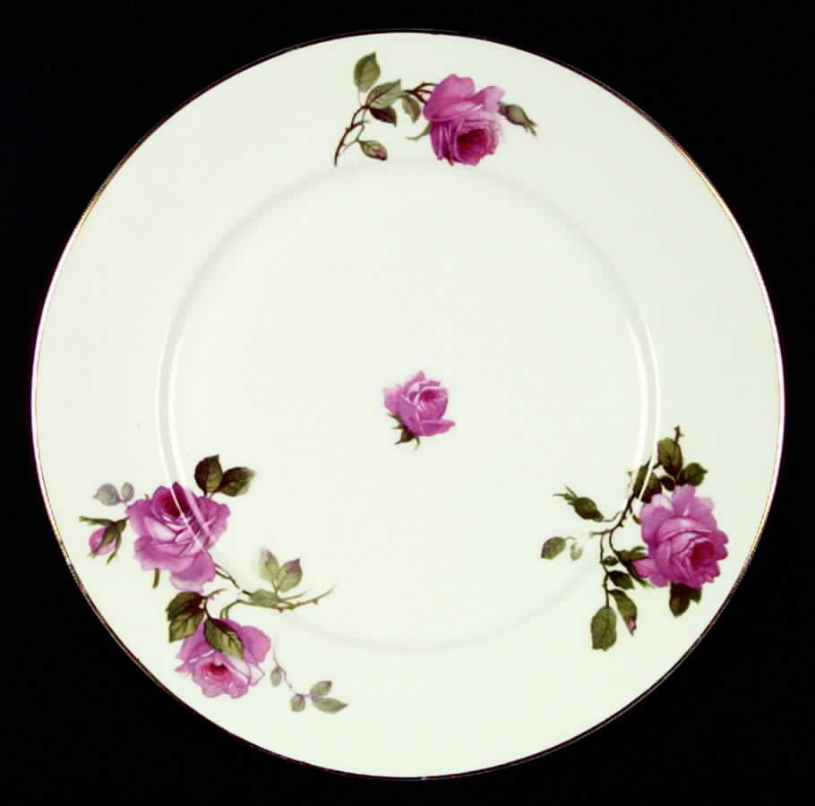 FR96 Dinner Plate by Franconia-Krautheim & Adelburg-1