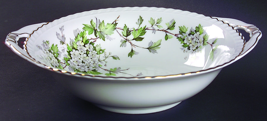 Hawthorn 10" Round Vegetable Bowl by Franconia-Krautheim & Adelburg-1