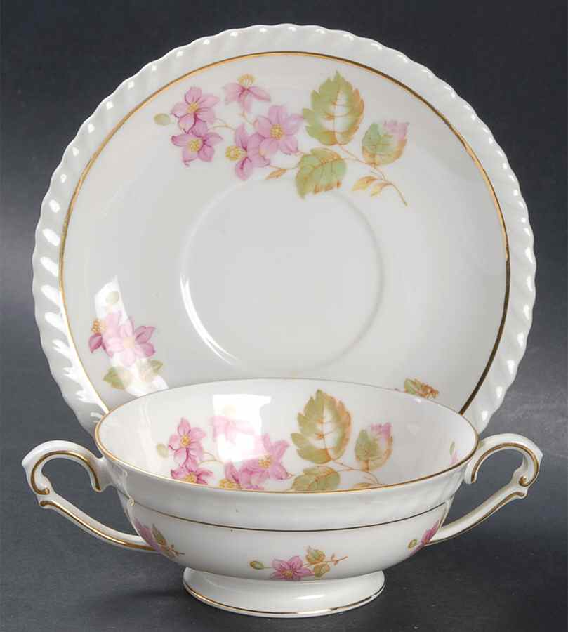 Rosetta Footed Cream Soup Bowl & Saucer Set by Franconia-Krautheim & Adelburg-1