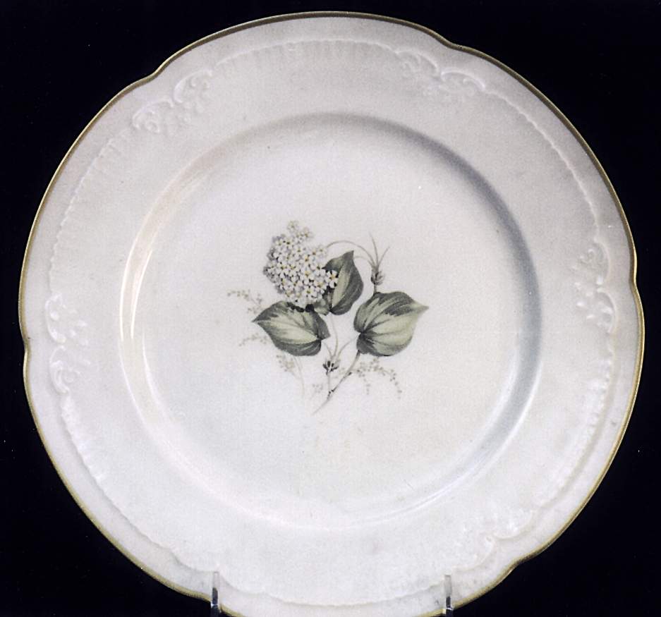 Snowball Dinner Plate by Franconia-Krautheim & Adelburg-1
