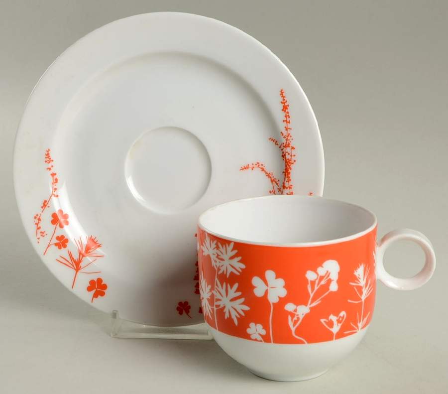 Sunburst Flat Cup & Saucer Set by Franconia-Krautheim & Adelburg-1