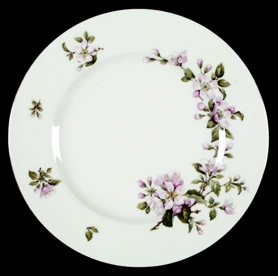 Tanglewood Dinner Plate by Franconia-Krautheim & Adelburg-1