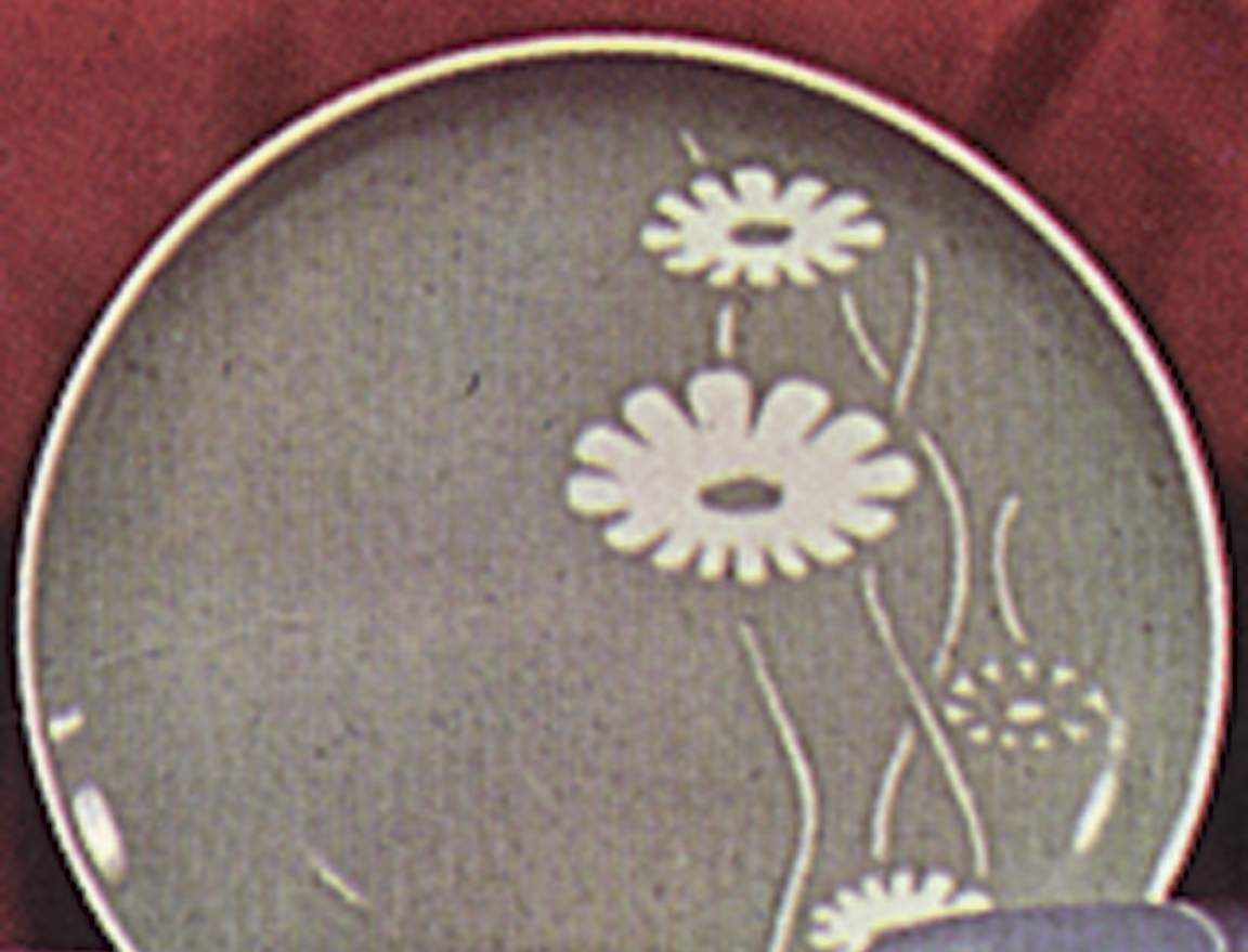 Valley Green Dinner Plate by Franconia-Krautheim & Adelburg-1
