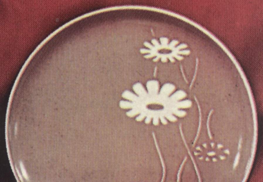 Valley Red Dinner Plate by Franconia-Krautheim & Adelburg-1