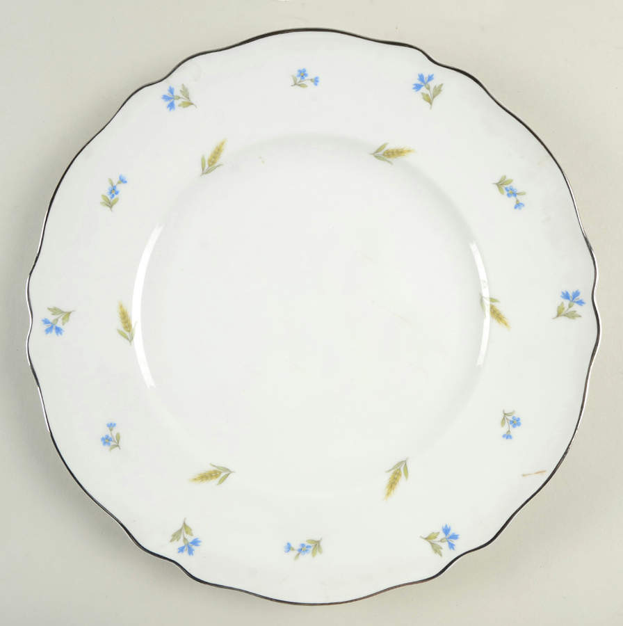 Waverly Dinner Plate by Franconia-Krautheim & Adelburg-1